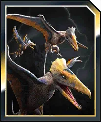 Alankydactylus