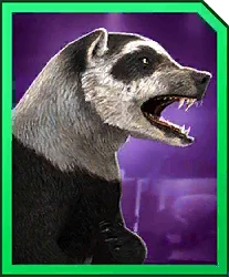 Arctocanis