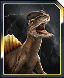 Atrocomaxima