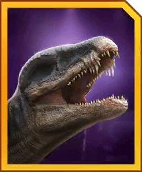 Baryothus