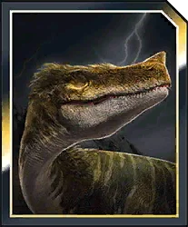 Baryotor