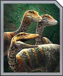 Coelophysis