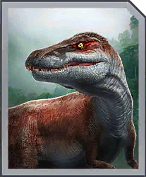 Megaraptor