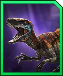 Raptoceras