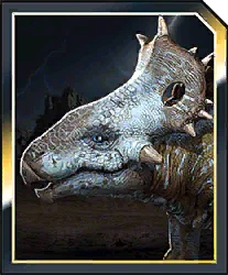 Spinotops