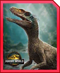 Rebirth Raptor